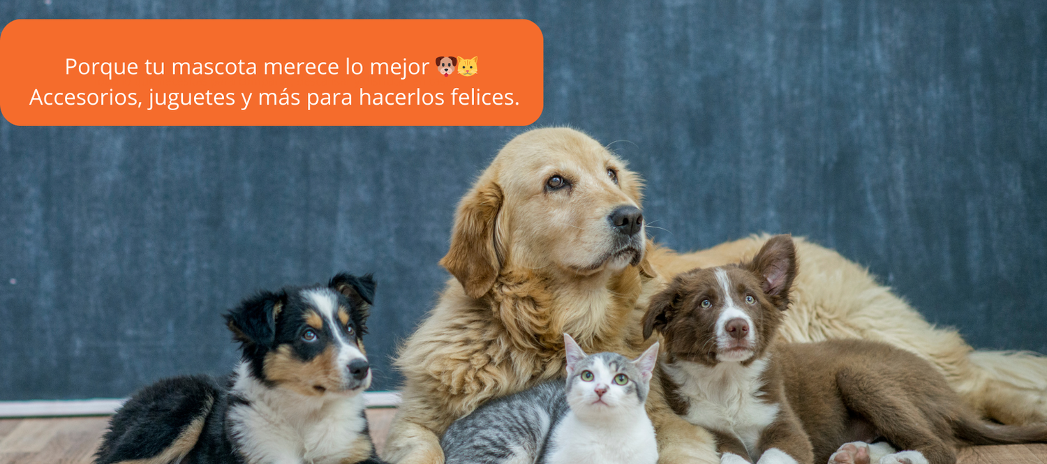 Mascotas